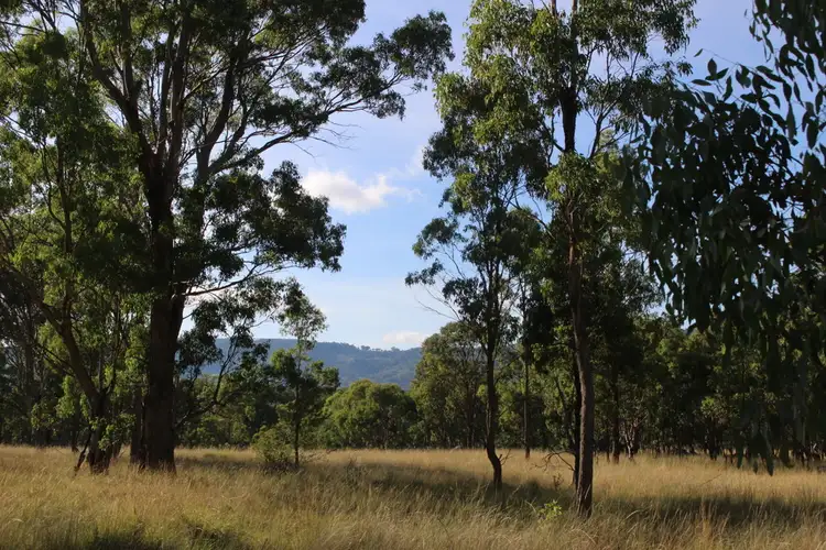 Seventh view of Homely rural property listing, 78 Platypus Valley, Tenterfield NSW 2372