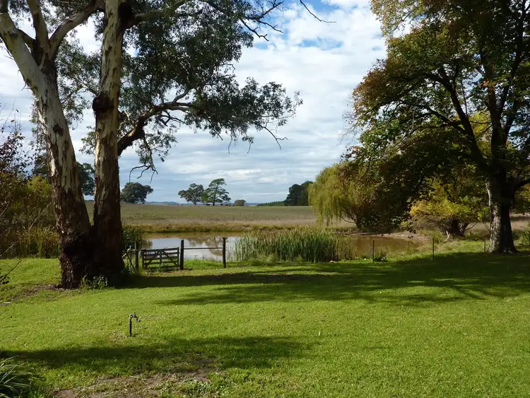 Sixth view of Homely rural property listing, 136 Shockeroo Road Humula, Wagga Wagga NSW 2650