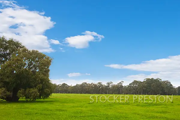 Seventh view of Homely rural property listing, P/L 101 WEST RD, Cowaramup WA 6284