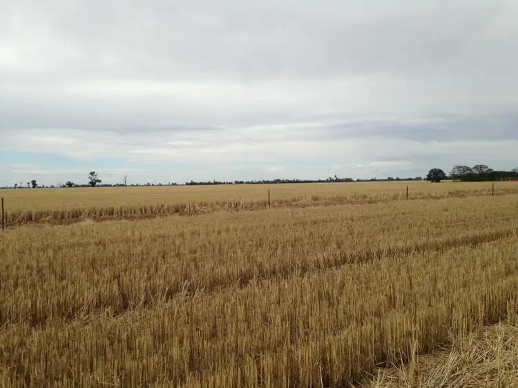 Seventh view of Homely rural property listing, Address available on request