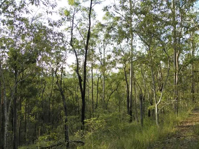 Fourth view of Homely rural property listing, 555 Ramornie Station Road, Ramornie NSW 2460