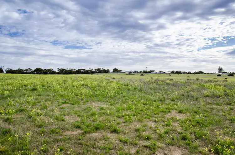 Seventh view of Homely land listing, Sec 125 Wallschutzky Road, Streaky Bay SA 5680