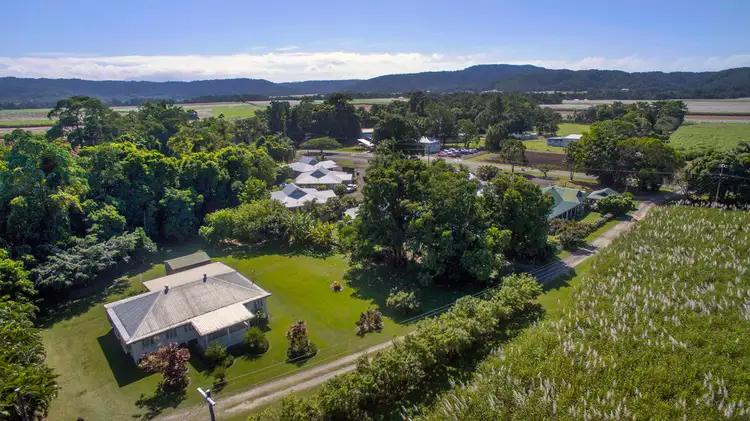 Fifth view of Homely house listing, 127 Miallo Road, Miallo QLD 4873