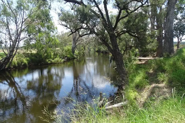 Third view of Homely rural property listing, Lot 1 SP224909 Greenup Road, Oman Ama QLD 4352