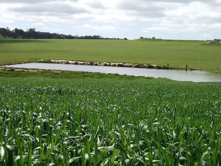 Third view of Homely rural property listing, 458 Six Mile Road, Boyup Brook WA 6244