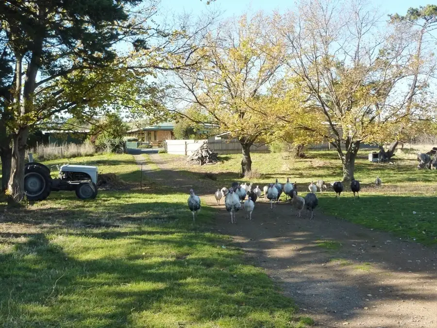 Main view of Homely rural property listing, 2981 Tasman Highway, Orielton TAS 7172