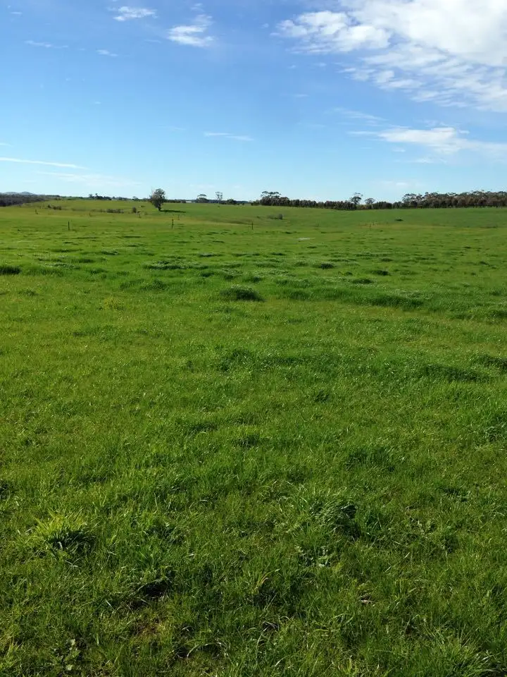 Sixth view of Homely rural property listing, 489 Howards Road, Garvoc VIC 3265