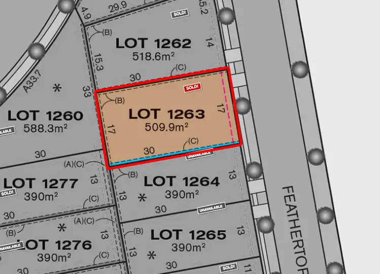 Lot 1263 Feathertop Avenue, Minto NSW 2566