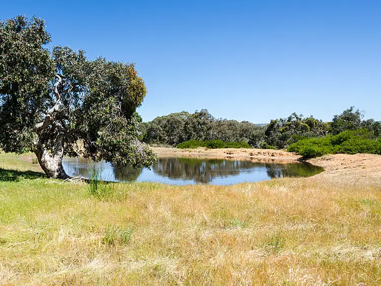 Third view of Homely rural property listing, Lot 2 / 379 Signal Flat Road, Ashbourne SA 5157