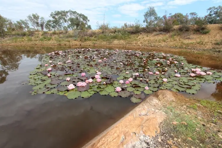Third view of Homely rural property listing, 1136 Limekilns Road, Limekilns NSW 2795