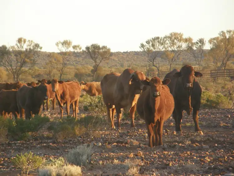 Second view of Homely rural property listing, Address available on request