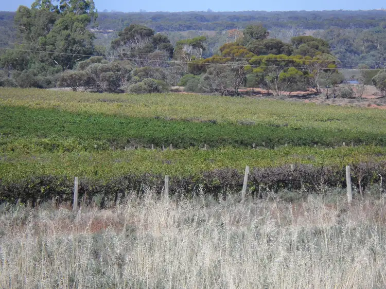 Main view of Homely rural property listing, 1353 Kingston Road, Pyap SA 5333