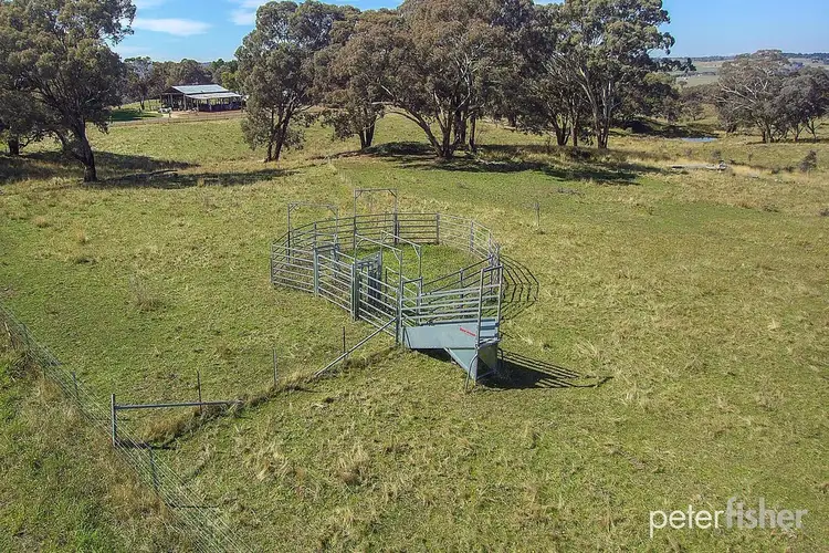 Second view of Homely rural property listing, Lot 12 Griffin Road, Orange NSW 2800