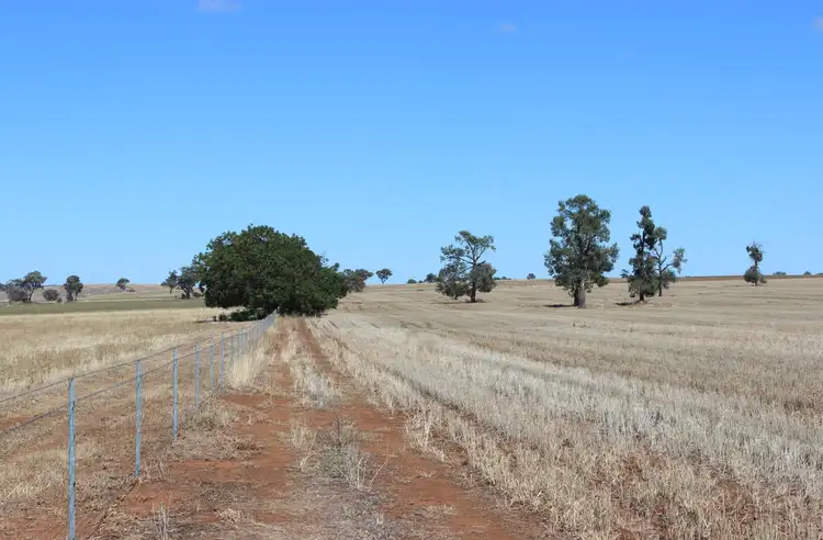 Fourth view of Homely rural property listing, Cnr Old Dubbo and Warrie Road, Dubbo NSW 2830