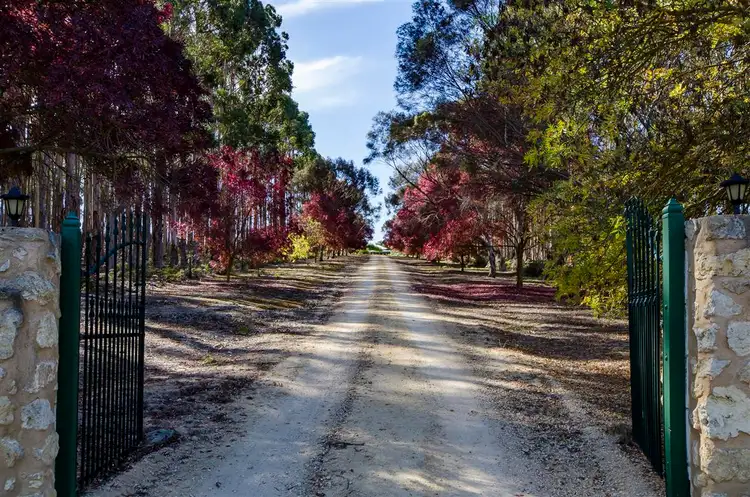 Fifth view of Homely rural property listing, 326 Peters Lane, Naracoorte SA 5271