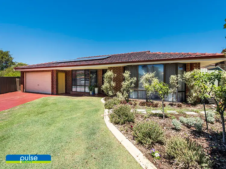 13 Lamperd Mews, Murdoch WA 6150