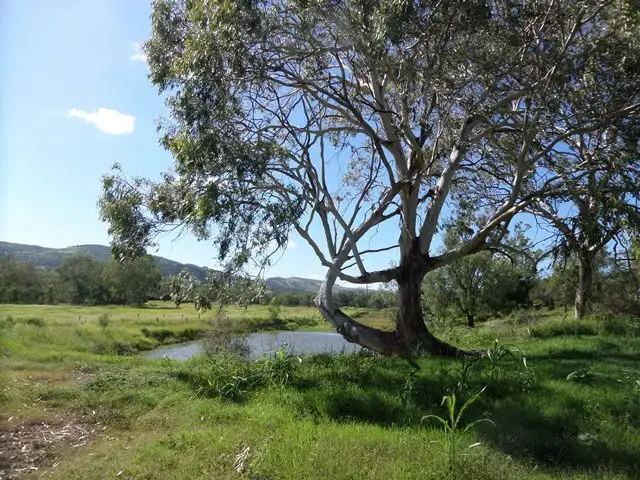 Lot 60 Ropeley Rockside Road, Ropeley QLD 4343