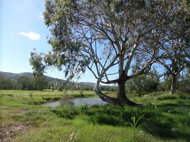Main view of Homely land listing, Lot 60 Ropeley Rockside Road, Ropeley QLD 4343