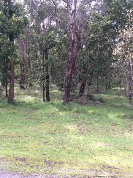 Main view of Homely land listing, Lot 110 Dales Creek Avenue, Dales Creek VIC 3341