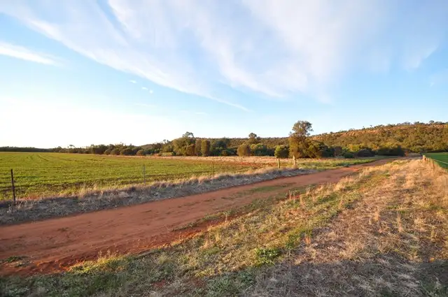 Fourth view of Homely rural property listing, "Ridge Top" Farm 1644 McPherson's Road, Beelbangera NSW 2680