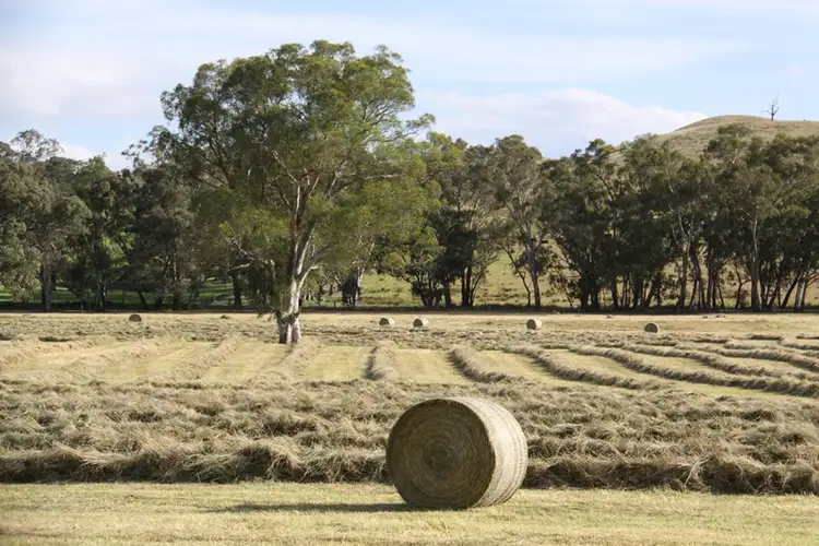 Third view of Homely rural property listing, Address available on request