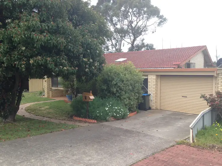 Third view of Homely house listing, 53 Albert Road, Mount Barker SA 5251