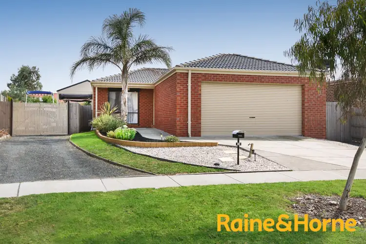 12 Oregano Dve, Lynbrook VIC 3975