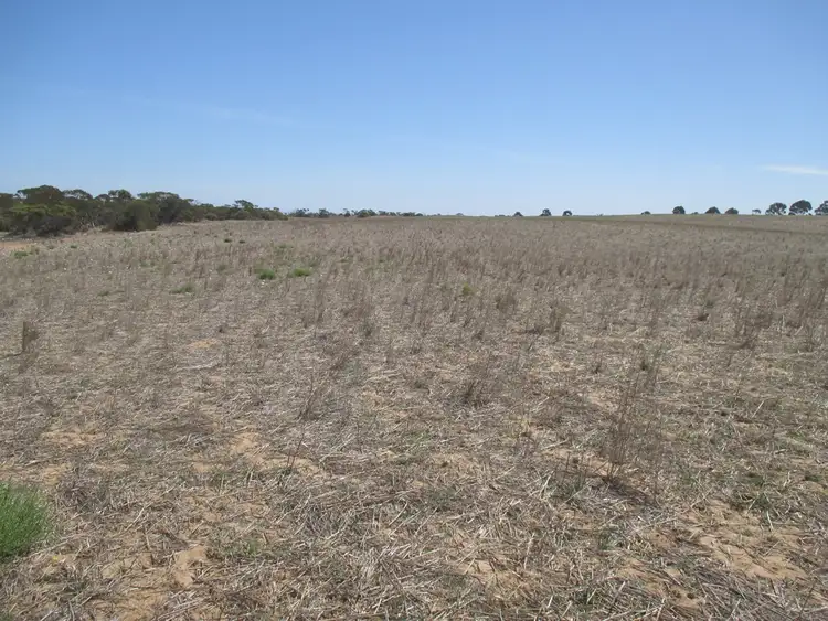 Second view of Homely rural property listing, A10 Karoonda Rd, Burdett SA 5253