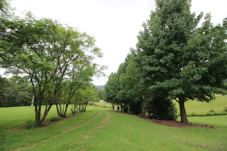 Main view of Homely rural property listing, 2595 Pappinbarra Rd, Pappinbarra NSW 2446
