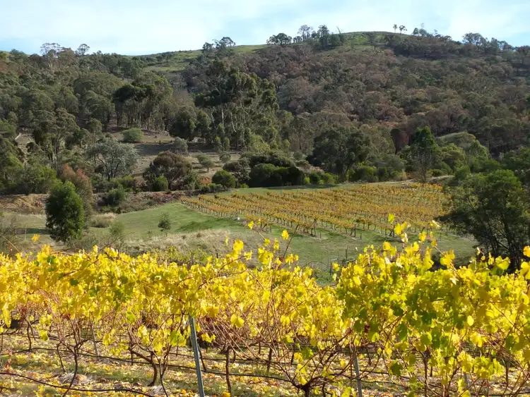 Third view of Homely rural property listing, 107 McAdams Lane, Moonambel VIC 3478