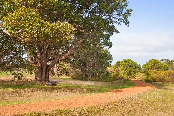 Fourth view of Homely rural property listing, Lot 1467 Bussell Highway, Margaret River WA 6285