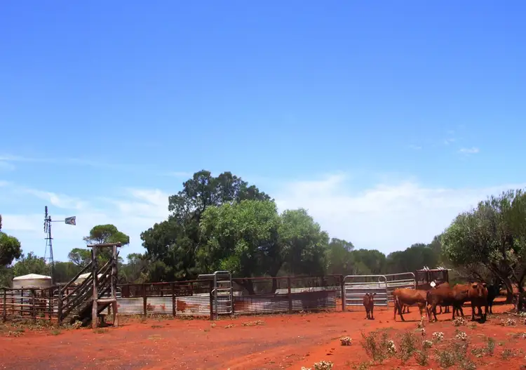 Second view of Homely rural property listing, - Riverina Station, Menzies WA 6436