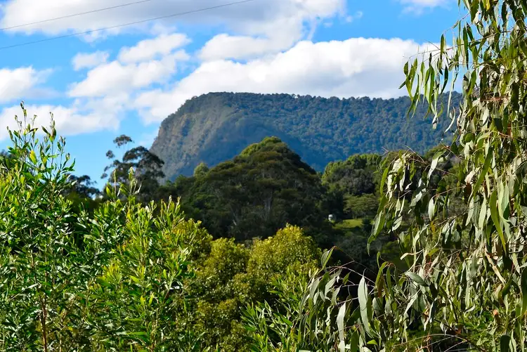 Third view of Homely rural property listing, 8/56 Robb Road, Nimbin NSW 2480