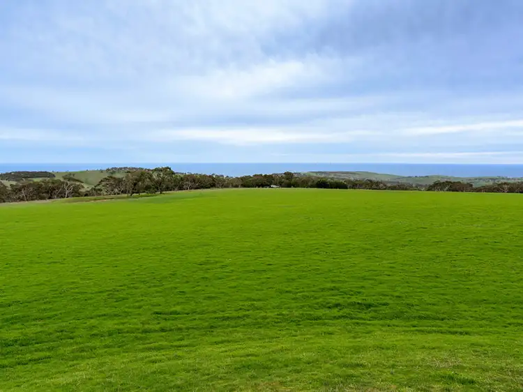 Fourth view of Homely rural property listing, 9058 Main South Rd, Delamere SA 5204
