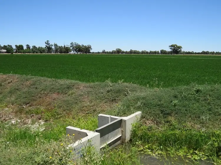 Second view of Homely rural property listing, "Woodlands" Hayfield Road, Finley NSW 2713