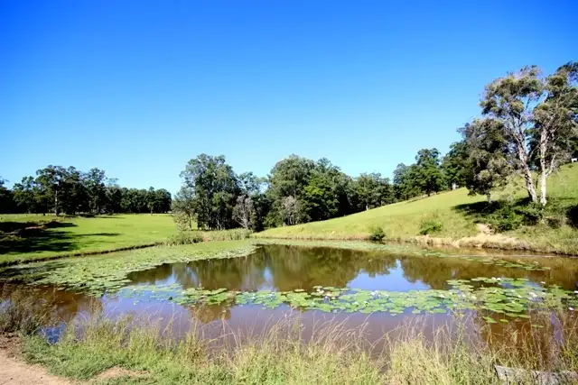 Main view of Homely rural property listing, 115 West Frazers Creek Road, Frazers Creek NSW 2446