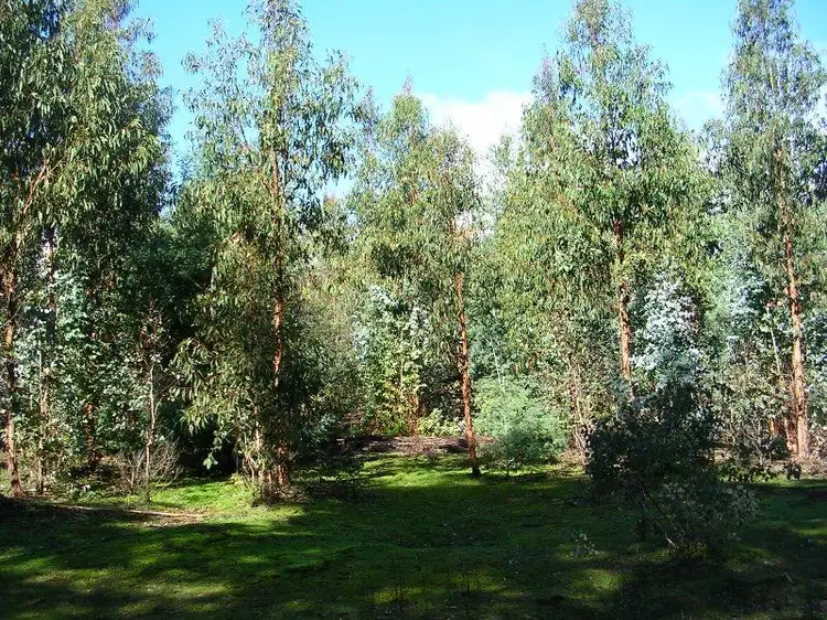 Fourth view of Homely rural property listing, Lot 2 Cormint Road, Manjimup WA 6258