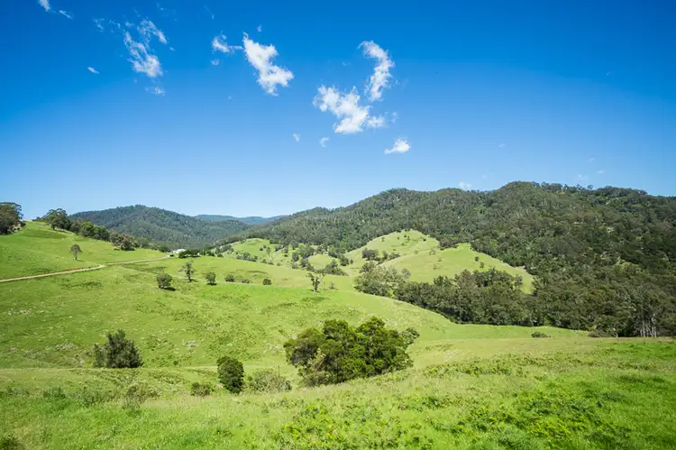Main view of Homely rural property listing, 472 County Boundary Rd, Cobargo NSW 2550