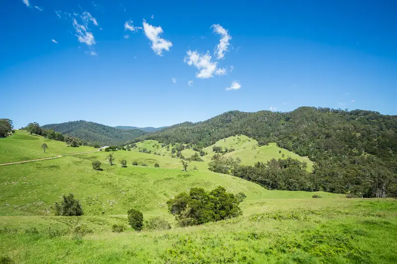 Main view of Homely rural property listing, 472 County Boundary Rd, Cobargo NSW 2550