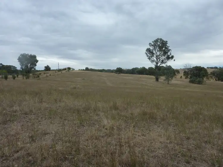 Third view of Homely rural property listing, 1150 Carabost Road, Humula NSW 2652