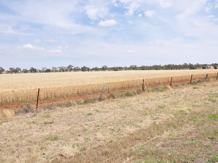 Fourth view of Homely land listing, Lots 155 & 156 Broad Street, Old Junee NSW 2652