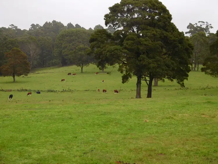 Sixth view of Homely rural property listing, 61 Masons Road, Milabena TAS 7325