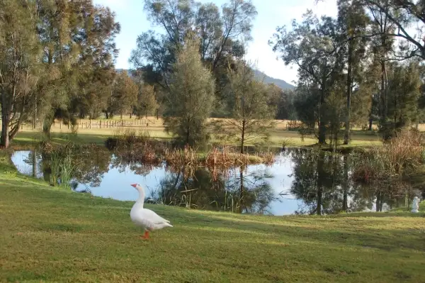 Second view of Homely house listing, 72 Rondanella Drive, Kanahooka NSW 2530
