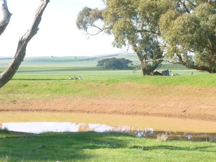 Third view of Homely rural property listing, - 'Wirrawilla', Jamestown SA 5491