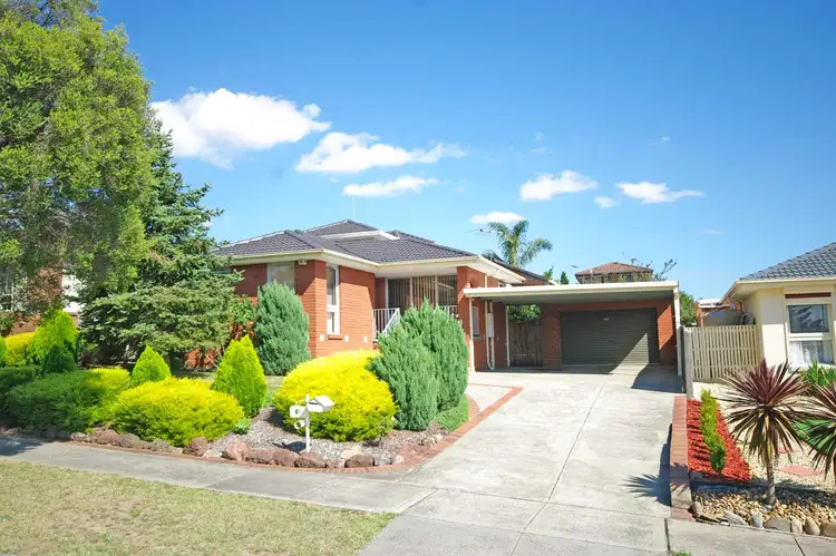 Main view of Homely house listing, 17 Ponto Court, Endeavour Hills VIC 3802