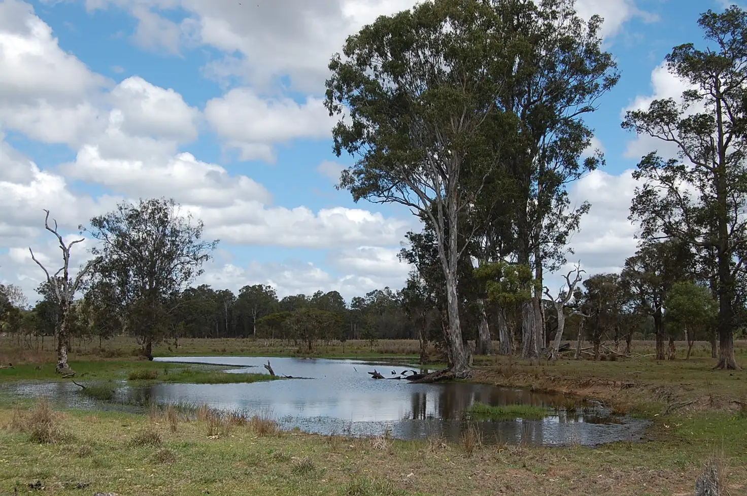 Main view of Homely rural property listing, Six Mile, Camira NSW 2469