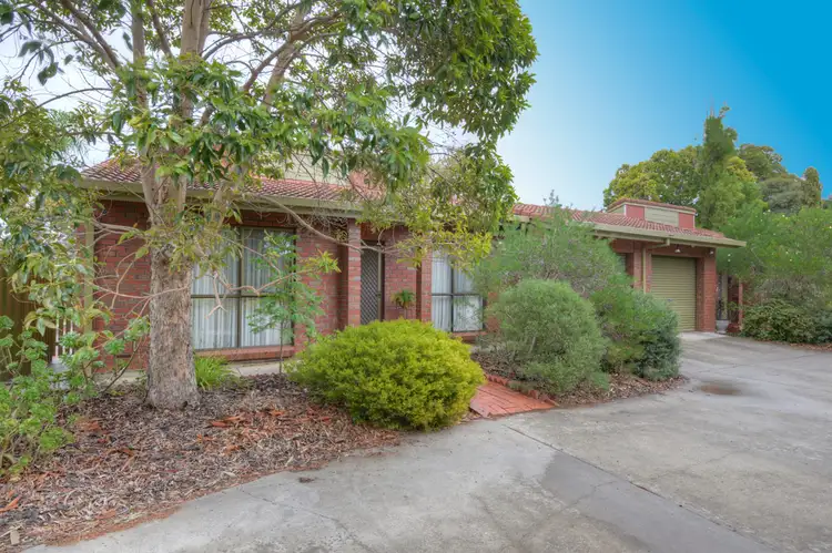 1/2 Allan Street, Newton SA 5074