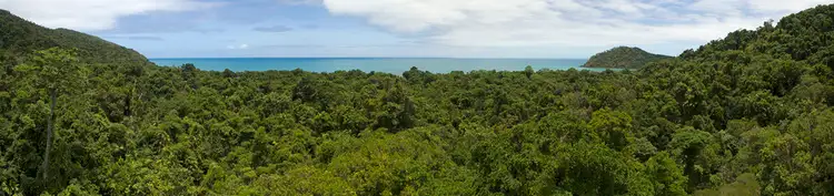 Sixth view of Homely land listing, 130 Rykers, Daintree QLD 4873