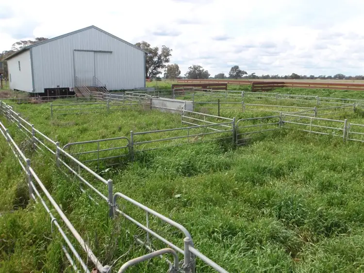 Second view of Homely rural property listing, 927 Yarrawonga Road, Berrigan NSW 2712