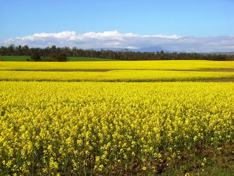 Fourth view of Homely rural property listing, 832 Glen Esk Road, Conara TAS 7211